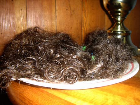 Plate of Hair