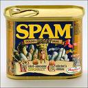 Spamalot Spam