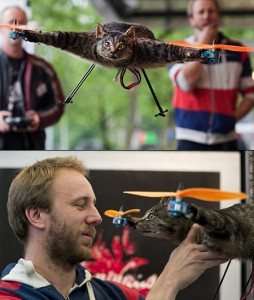 cat-quadcopter