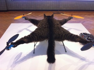 catcopter