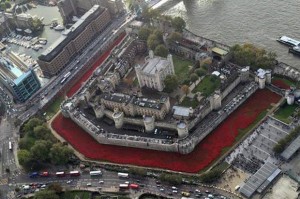 Tower-of-London-Poppies-407402