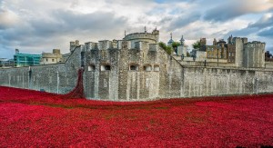 Tower-of-London-poppies