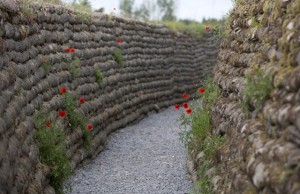 wwi-poppies